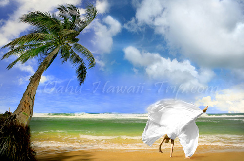 Oahu Weddings A Guide For Oahu Hawaii Beach Wedding Planner And